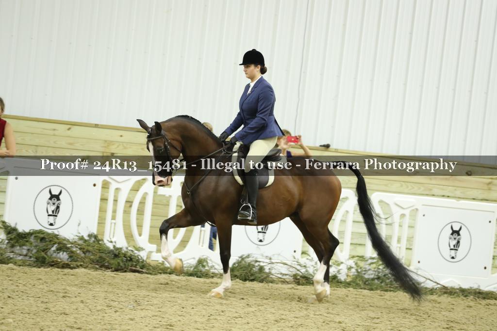 Proof 24R13_15481