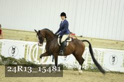 24R13_15481 proof