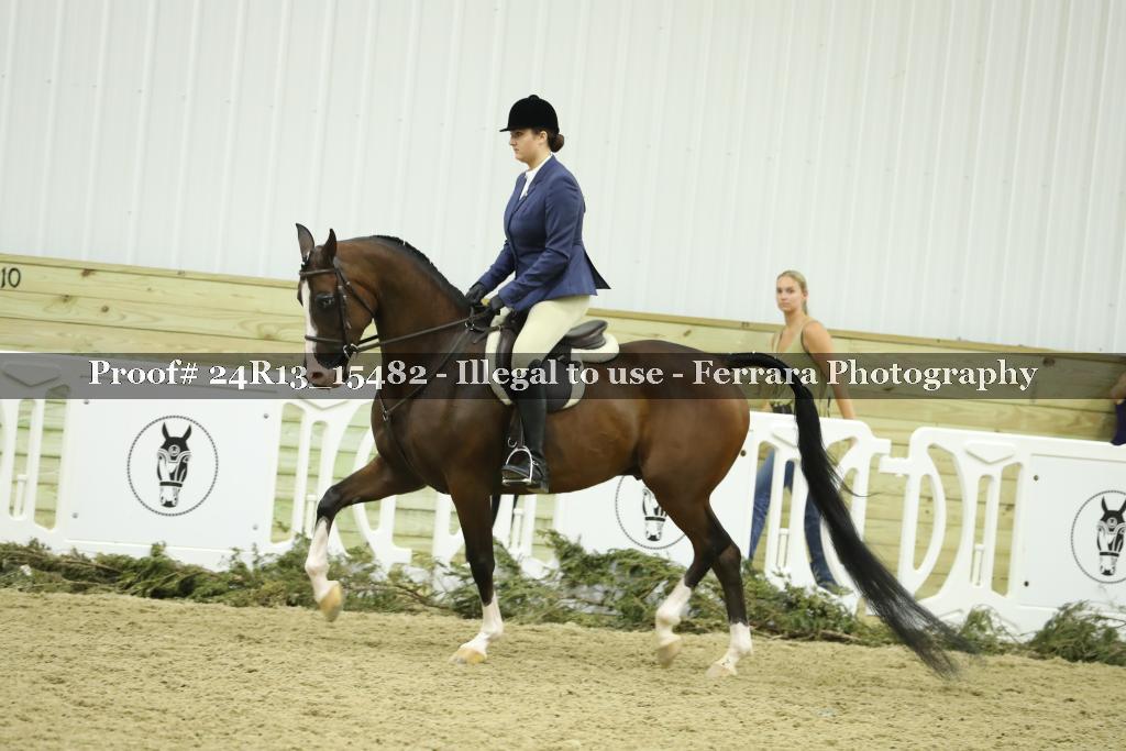 Proof 24R13_15482