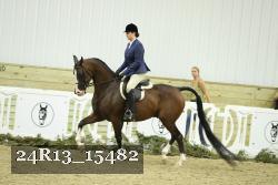 24R13_15482 proof
