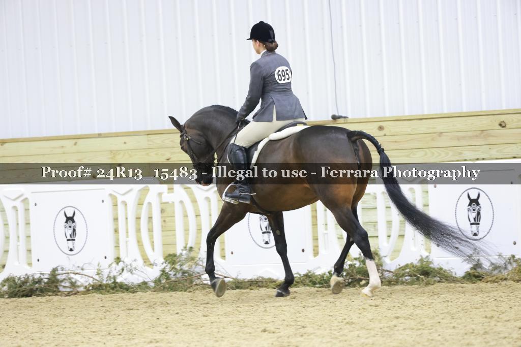 Proof 24R13_15483