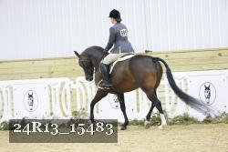 24R13_15483 proof