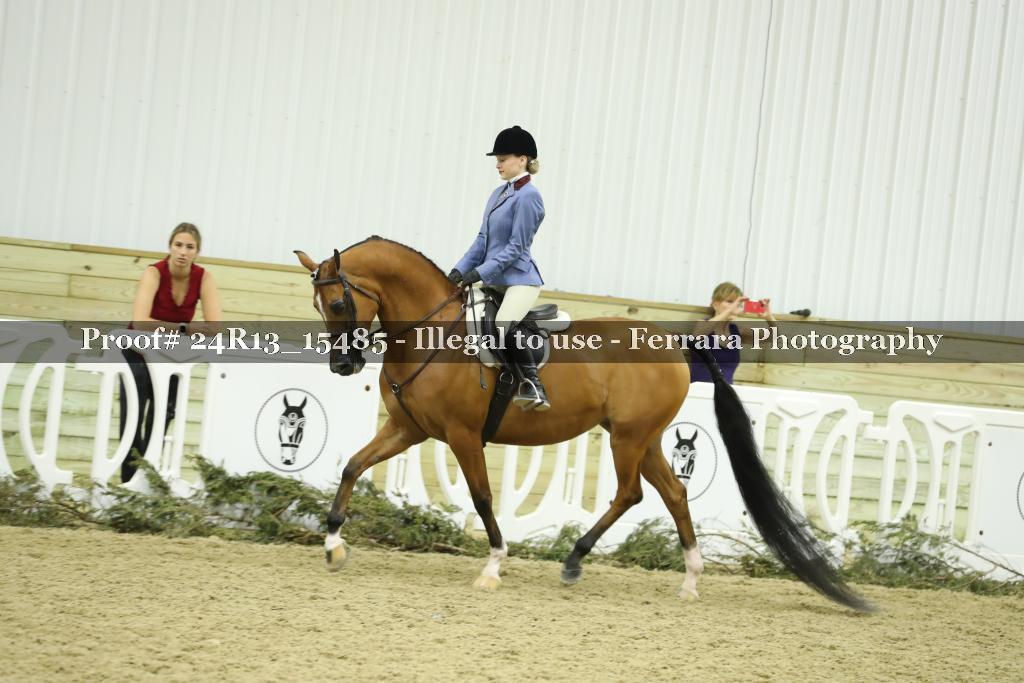 Proof 24R13_15485
