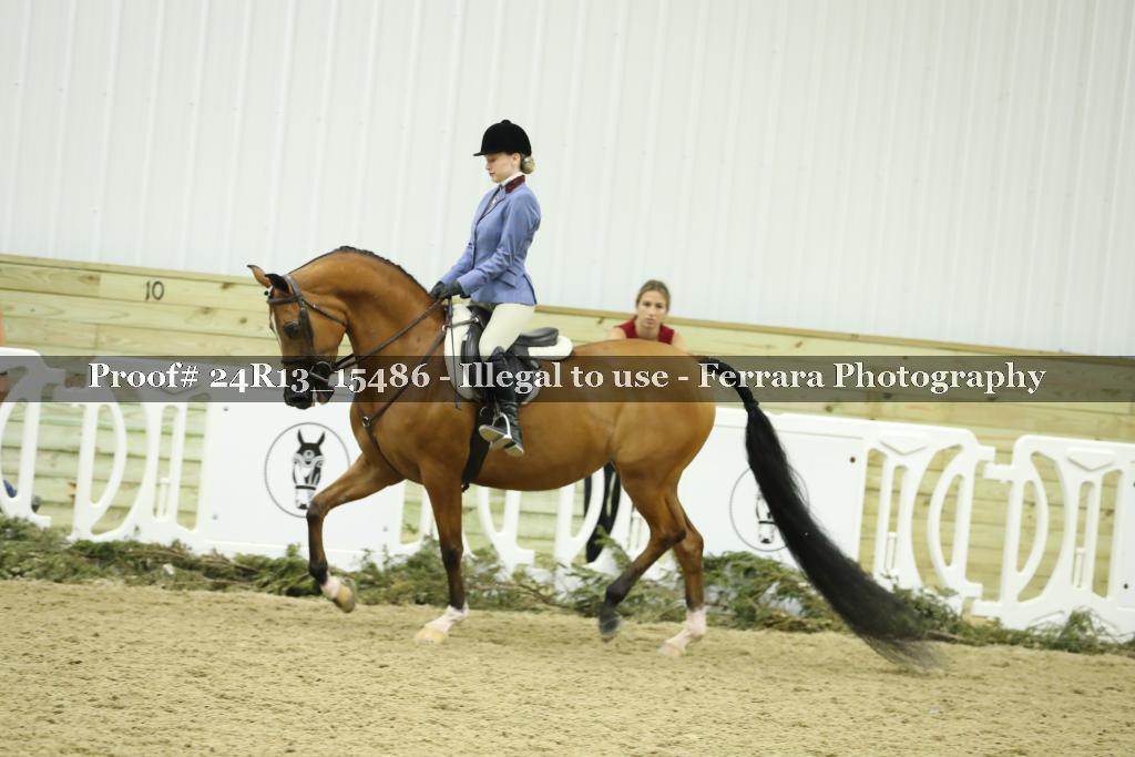 Proof 24R13_15486