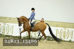 24R13_15486 proof