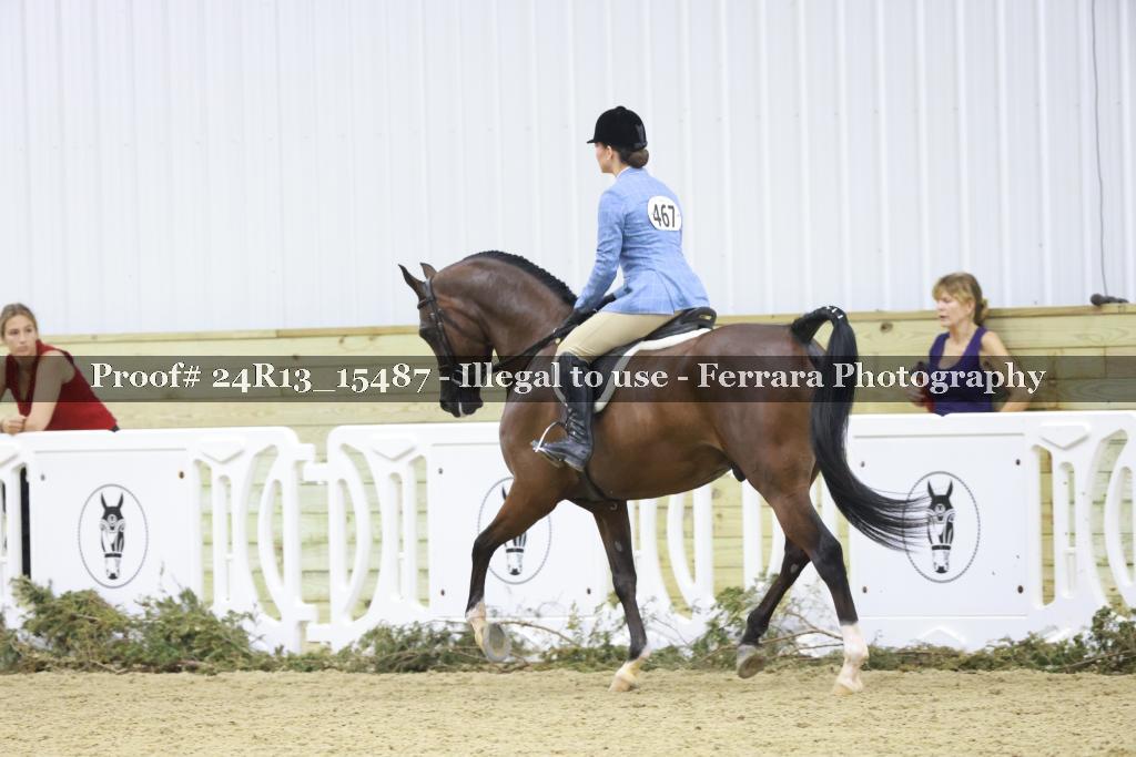 Proof 24R13_15487