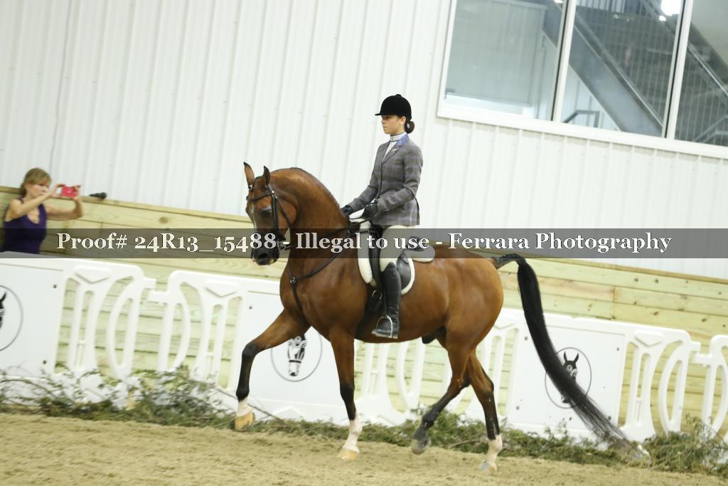 Proof 24R13_15488