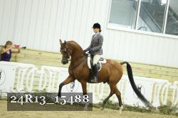 24R13_15488 proof