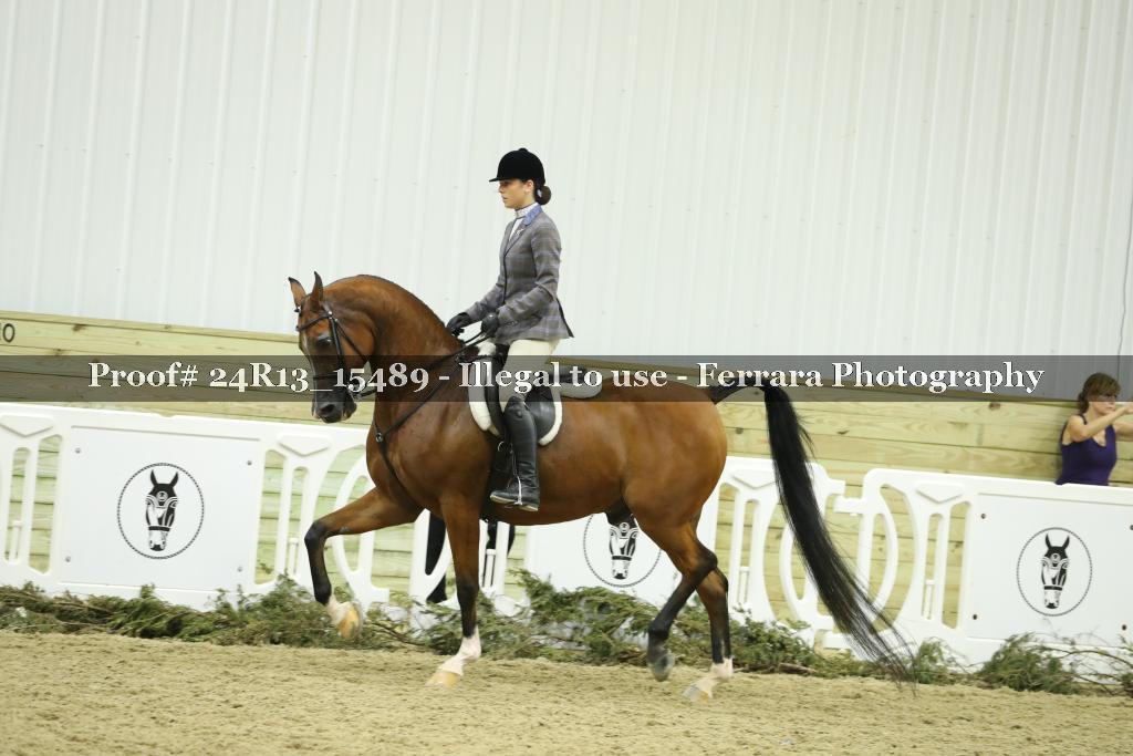 Proof 24R13_15489