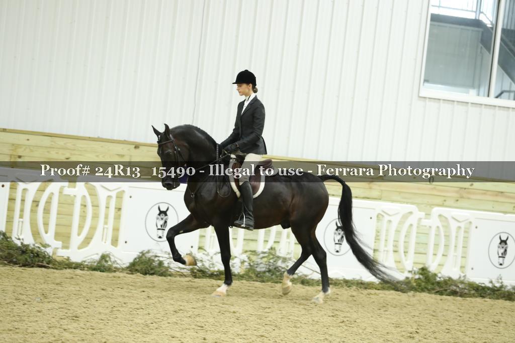 Proof 24R13_15490