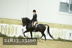 24R13_15490 proof