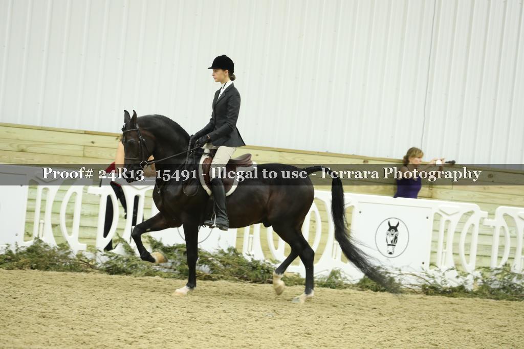 Proof 24R13_15491