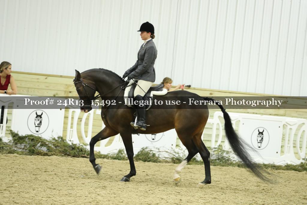 Proof 24R13_15492