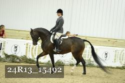 24R13_15492 proof