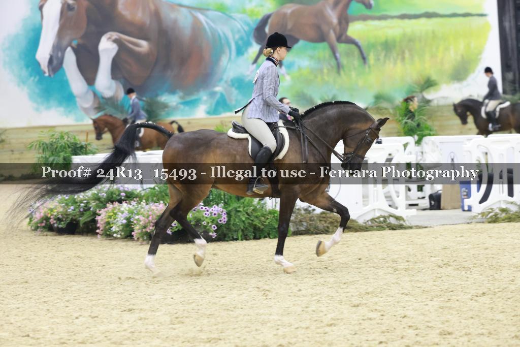 Proof 24R13_15493