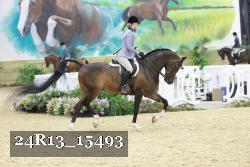 24R13_15493 proof
