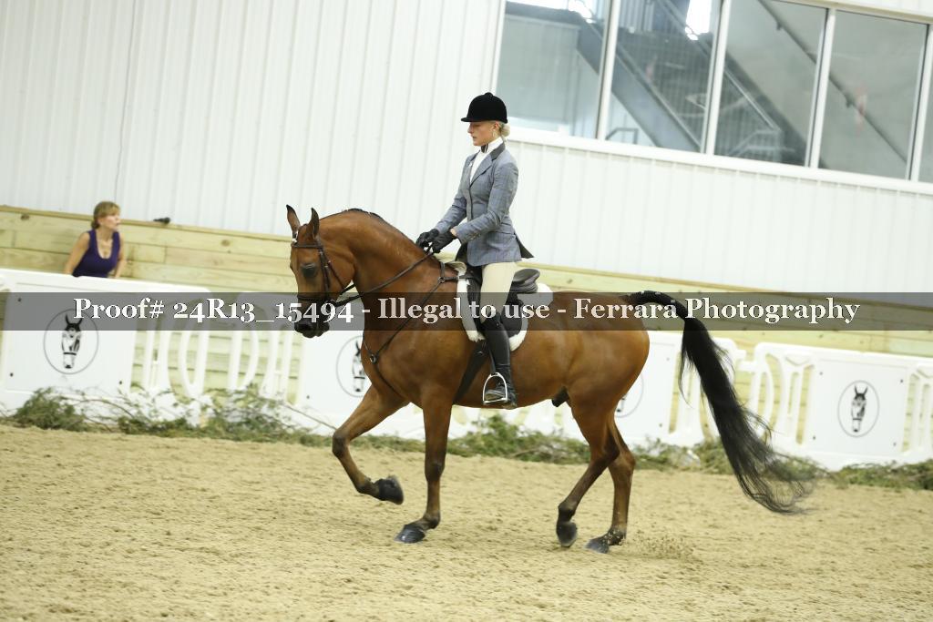 Proof 24R13_15494