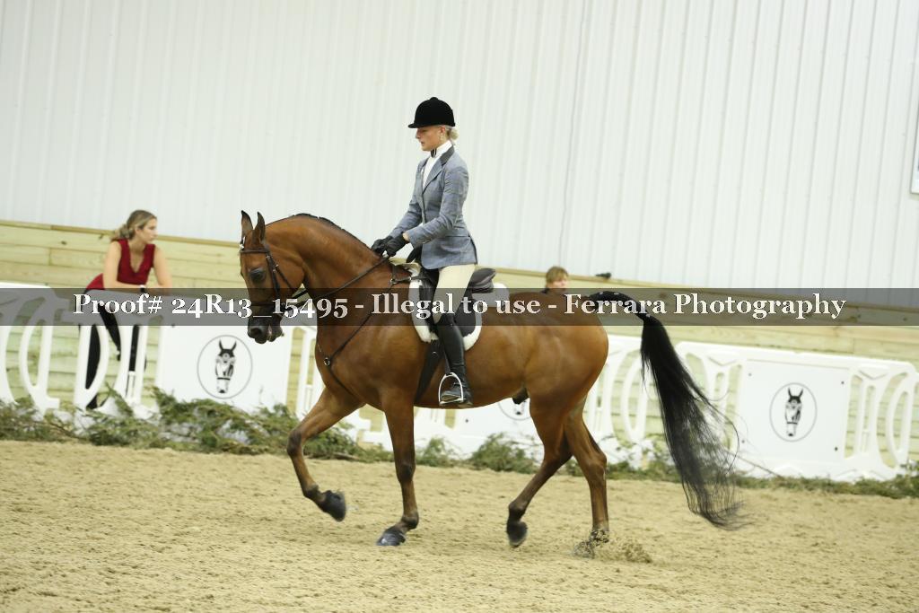 Proof 24R13_15495