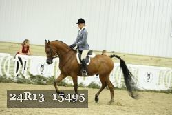24R13_15495 proof