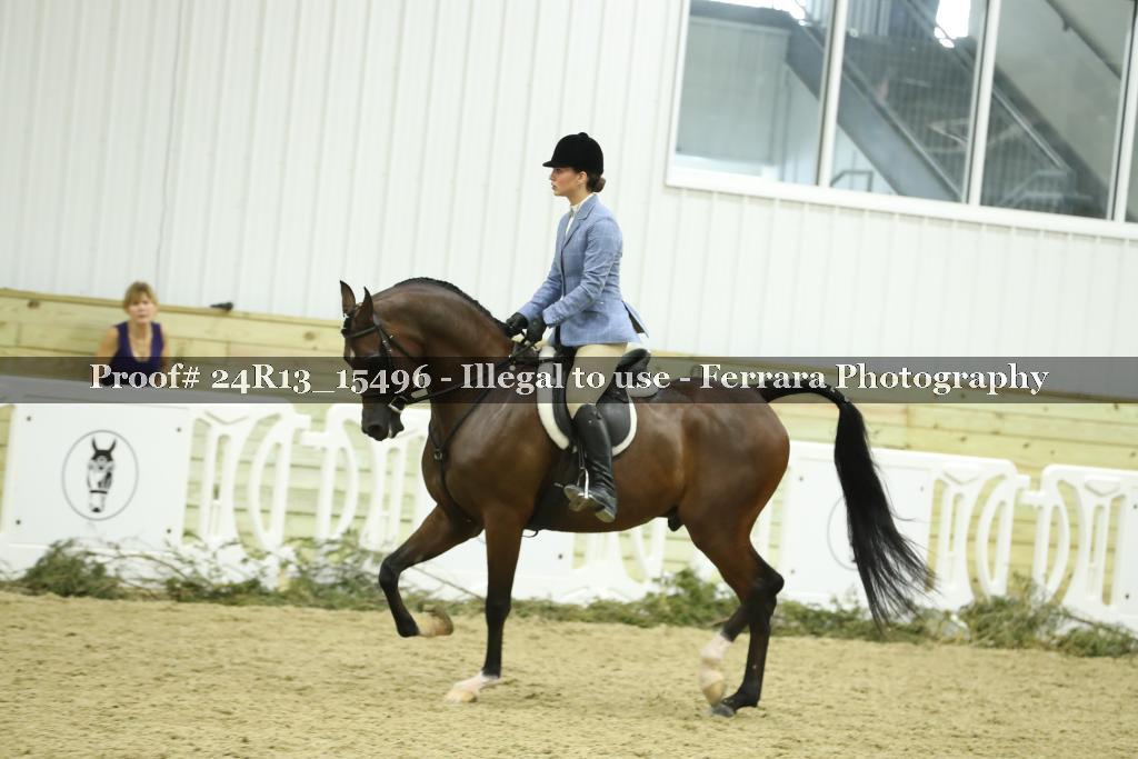 Proof 24R13_15496