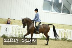 24R13_15496 proof