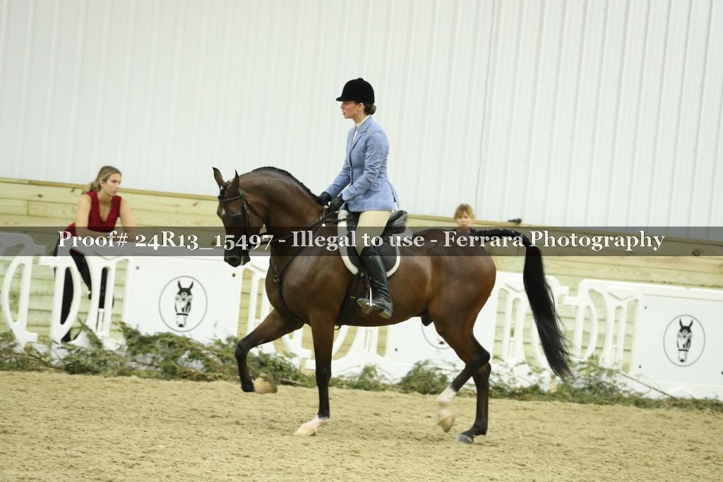 Proof 24R13_15497