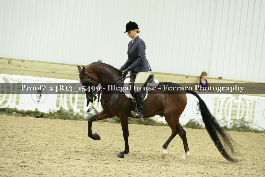 Proof 24R13_15499