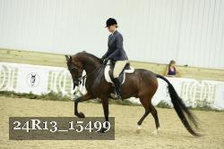 24R13_15499 proof
