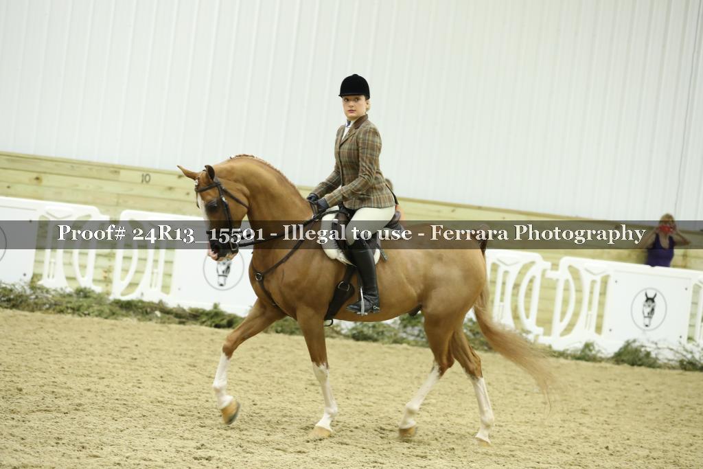 Proof 24R13_15501