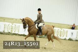 24R13_15501 proof