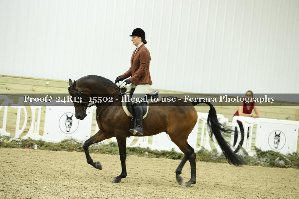 Proof 24R13_15502