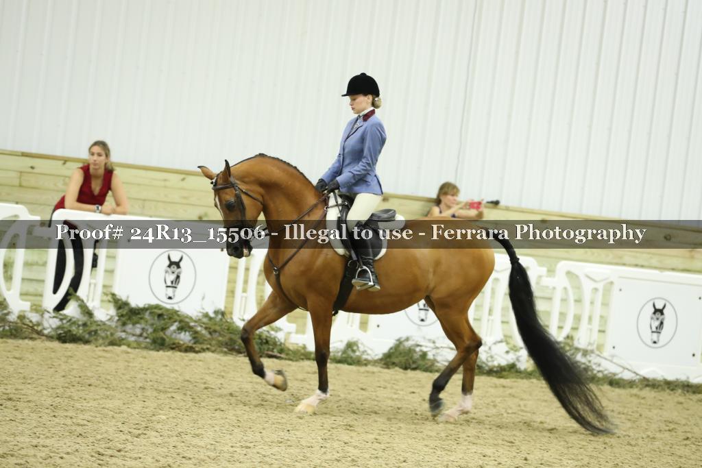 Proof 24R13_15506