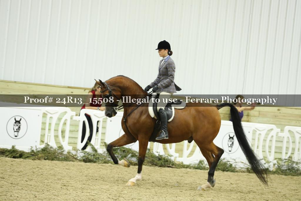 Proof 24R13_15508