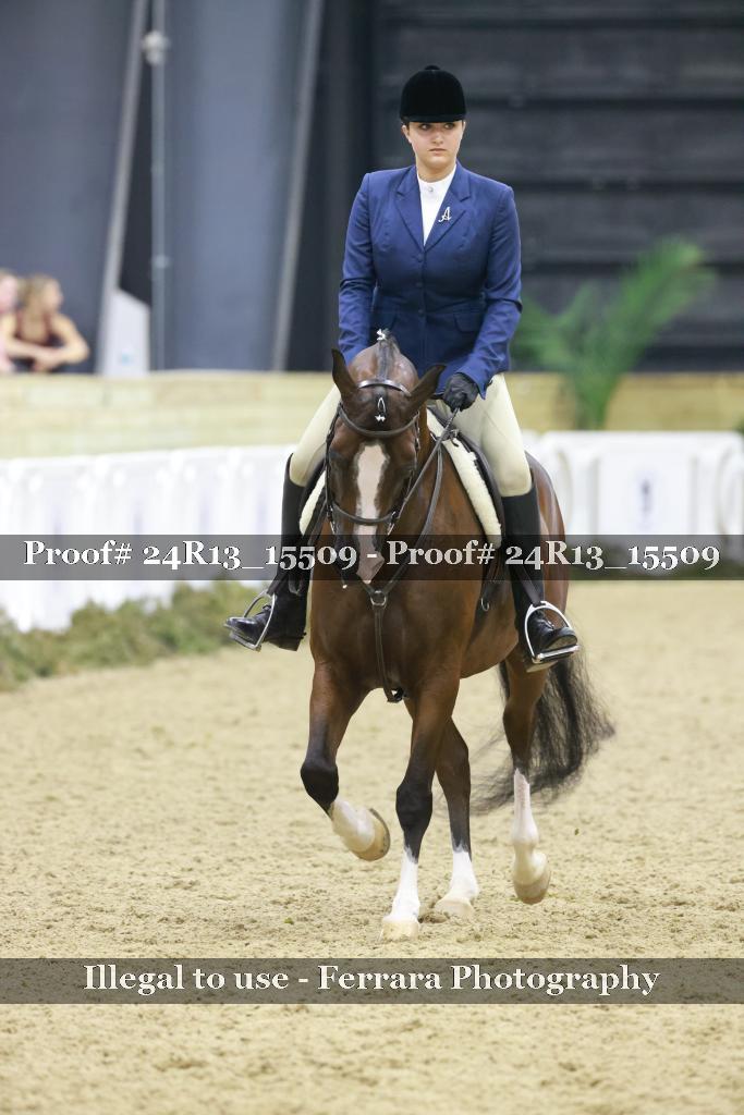 Proof 24R13_15509