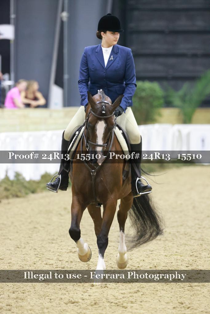Proof 24R13_15510