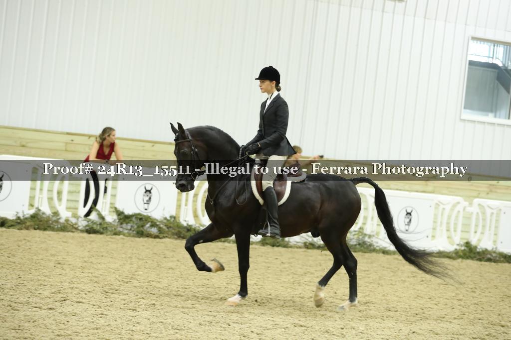Proof 24R13_15511