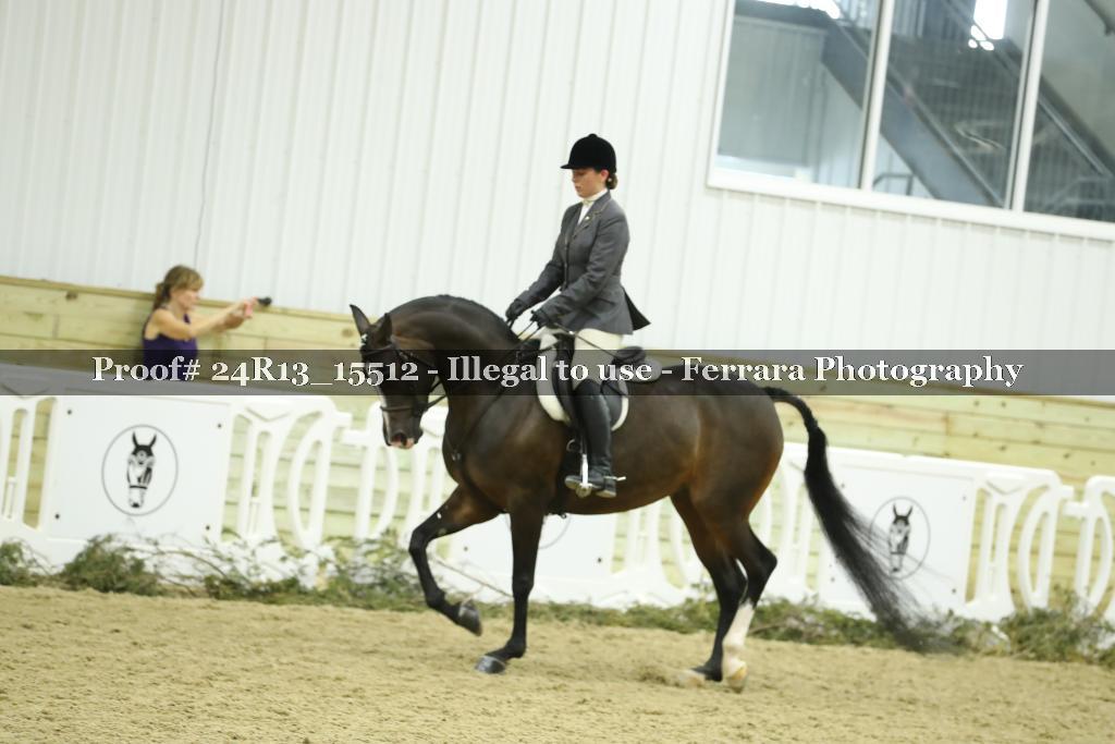 Proof 24R13_15512