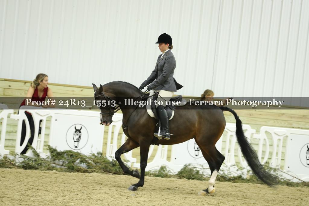 Proof 24R13_15513