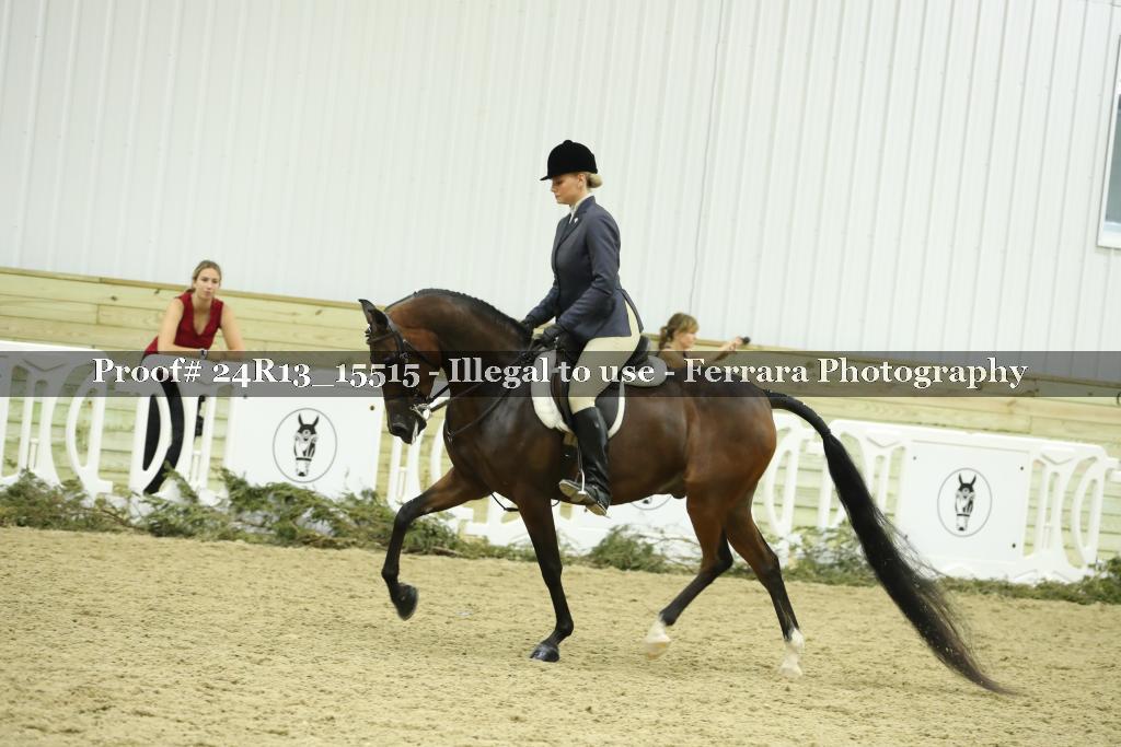 Proof 24R13_15515