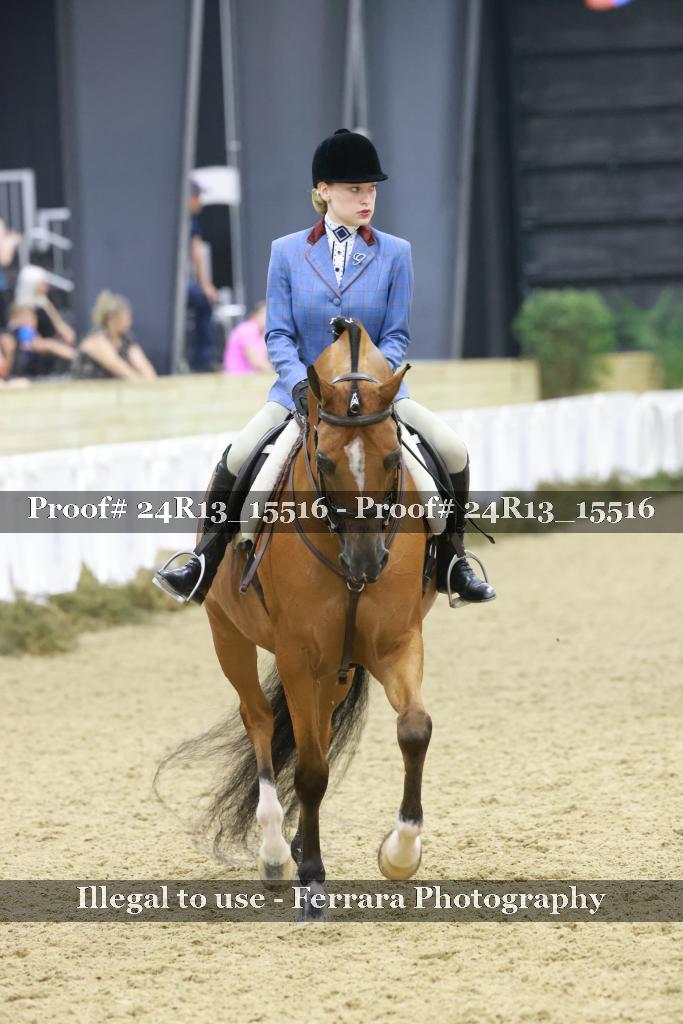 Proof 24R13_15516