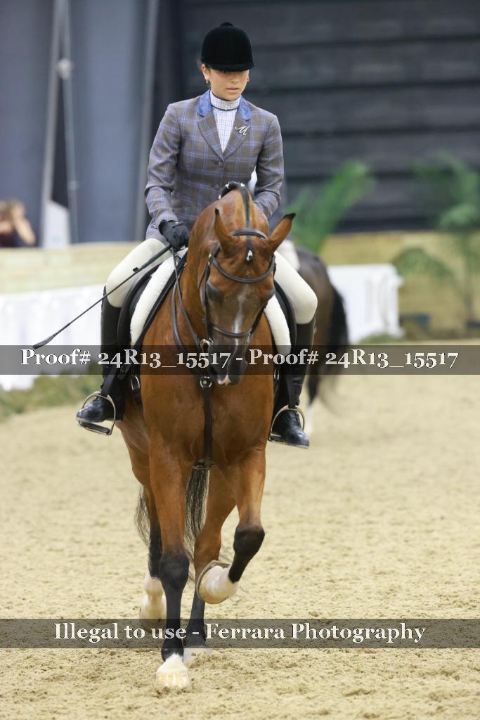 Proof 24R13_15517