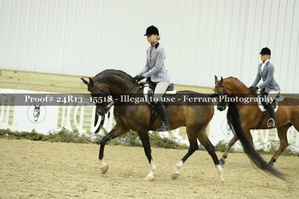 Proof 24R13_15518