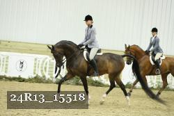 24R13_15518 proof