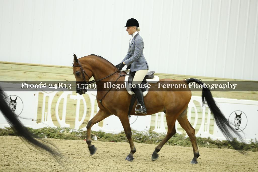 Proof 24R13_15519