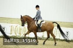 24R13_15519 proof
