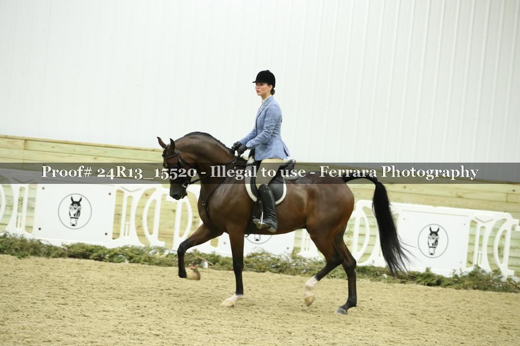 Proof 24R13_15520