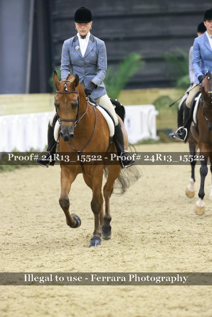 Proof 24R13_15522