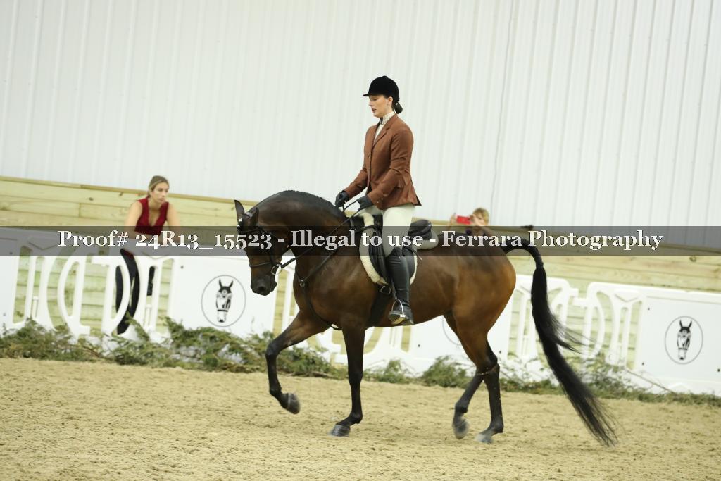 Proof 24R13_15523