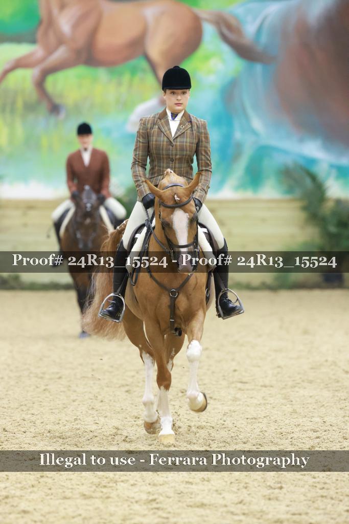 Proof 24R13_15524