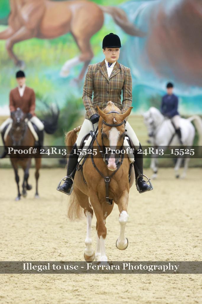 Proof 24R13_15525